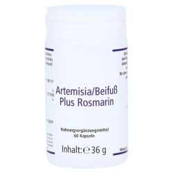 Артемизинин 150 мг капс. 60шт в Уфе и области фото
