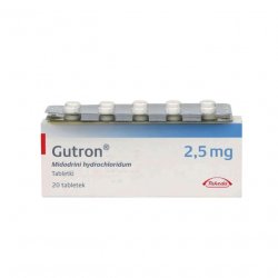 Гутрон таблетки 2,5 мг. №20 в Уфе и области фото